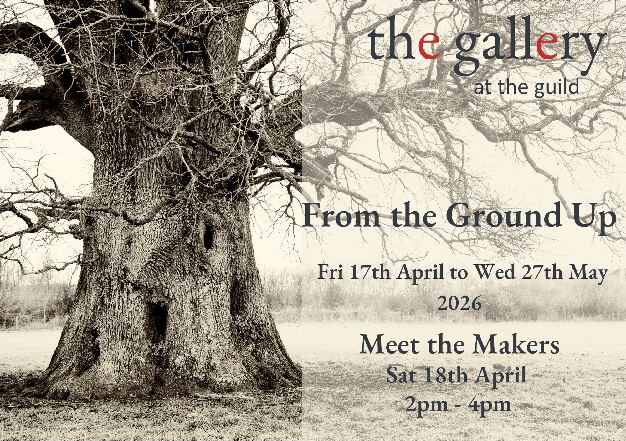 Kate - From the Ground up - 1